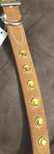 SUEDE DOG LEASH or COLLAR 26", with RHINESTONES, MADE IN USA