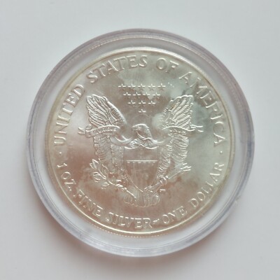 Enameled .999 Silver - 1999 US 1 oz Colorized American Eagle