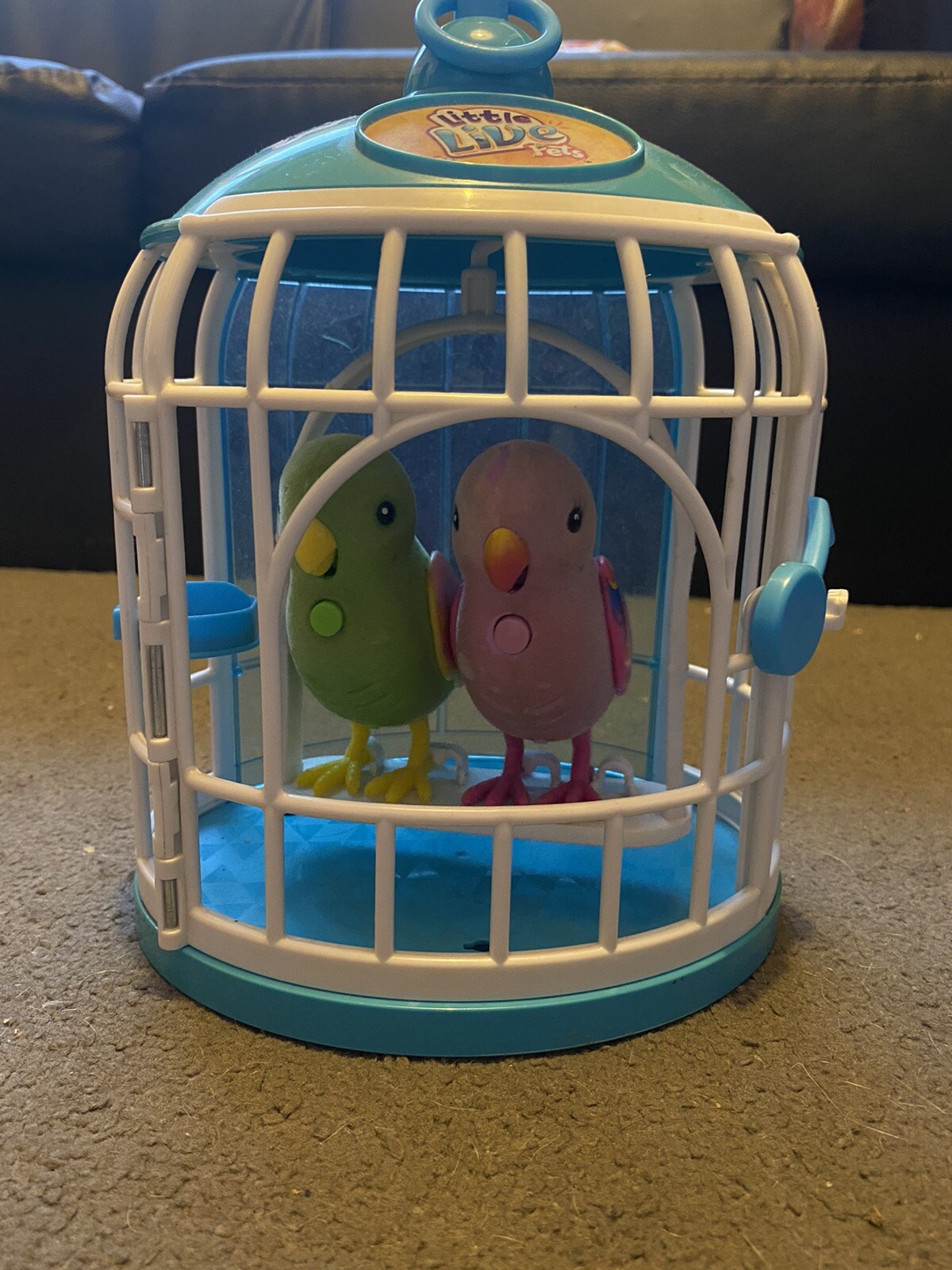 Live Birds for sale in UK 78 secondhand Live Birds