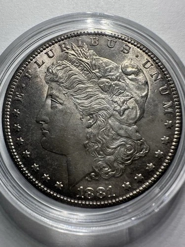1881-S Morgan Silver Dollar Nice Toning MS++ Uncirculated