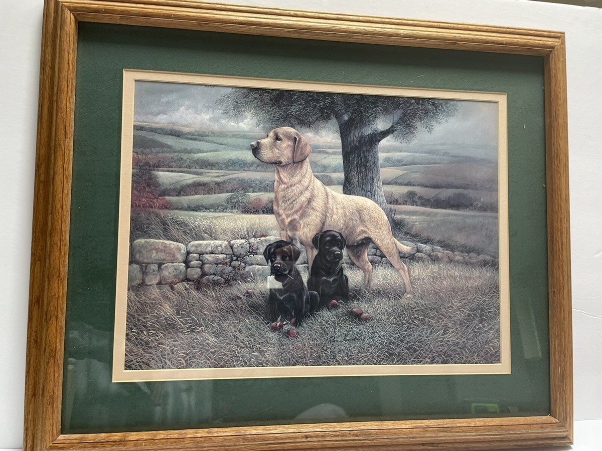 Golden Lab Dog w/Puppies Duck Hunting Framed Matted Art Print Ruane Manning