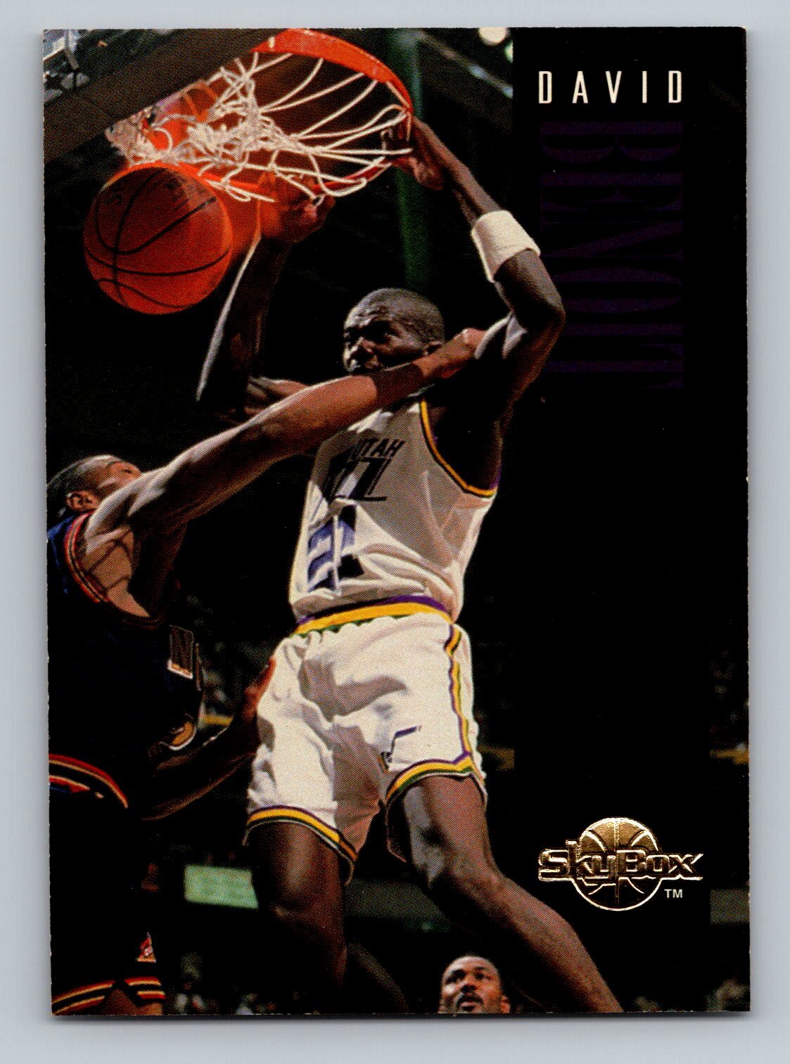 1994-95 SkyBox Premium #161 David Benoit