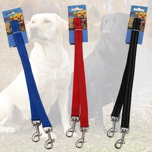 dog lead with two clips