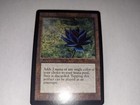 Black Lotus Beta  Magic the Gathering NOVELTY REPRINT  Mint READ PLEASE!!!