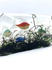 X-LARGE MURANO AQUARIUM BY BARBINI CENEDESE 5 FISH 1950s BLOCK 11” w/Light Base