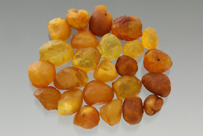 Lot of 25 Natural Rare Drops Genuine BALTIC AMBER Stones Nuggets 9.6g 180110-3