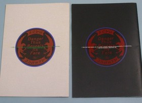 Complete FM Towns Marty DUNGEON MASTER Chaos Strikes Back Japanese FUJITSU