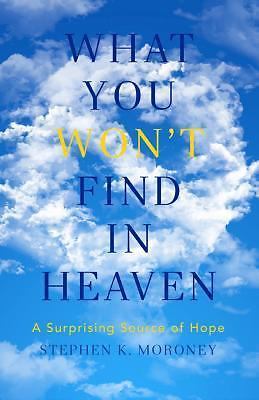 What You Won't Find in Heaven: A Surprising- 1941337481, paperback, Moroney, new