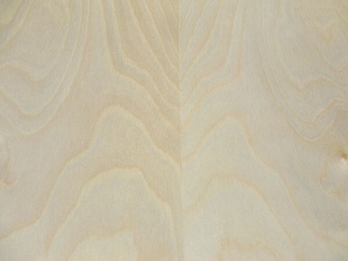 Impiallacciatura in legno bianco betulla 24" x 48" con supporto in legno spessore 2' x 4' x 1/25" grado A - Foto 7 di 12
