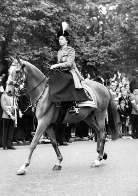 The Queen again riding favourite horse Winston took salute Tro- 1953 Old Photo