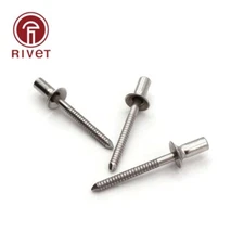 M4.8 100PCS GB 12616 Countersunk rivets Closed End Blind Rivet Sealed Hollow
