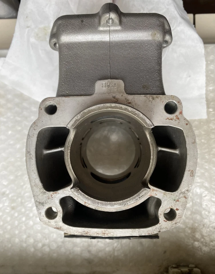 ✅GRUPPO TERMICO CILINDRO CYLINDER APRILIA RS 125 2 TEMPI SPORT PRODUCTION 223610 - Immagine 3 di 4