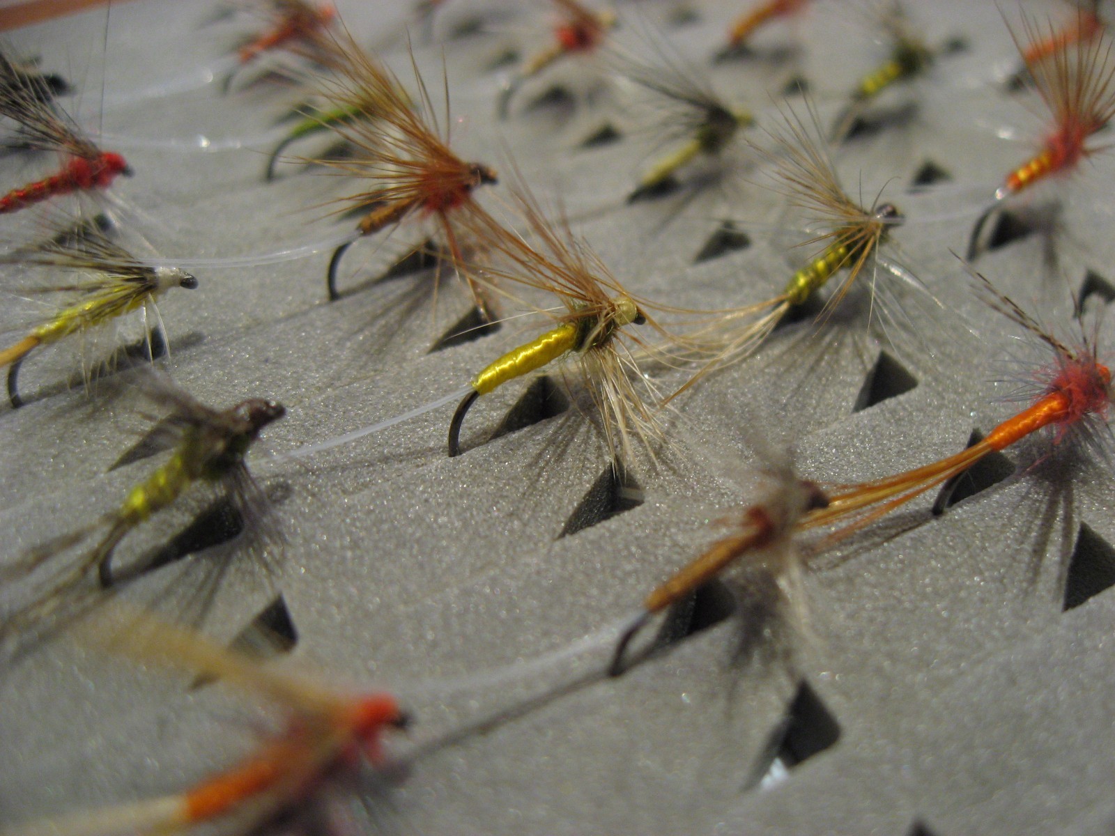 !!OFERTA!! 21 pardones. con muerte #14-·20, Coq de Leon. FLY FISHING (14) 