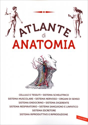 Antonio Vallardi Edizioni Bianco/Nero Atlante Di Anatomia - Immagine 2