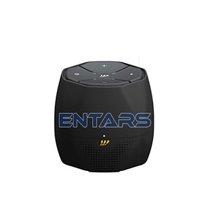 Booster Extender Fastweb Smart Speaker WI-FI 6 per Modem ALEXA Nexxt Ftth Fttc