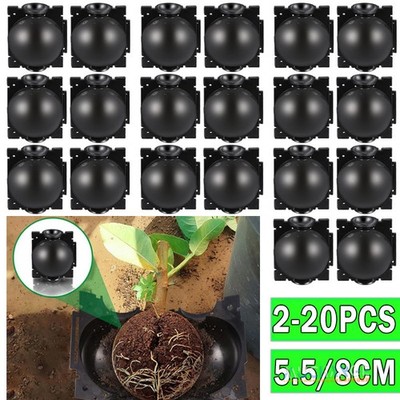 Plant Root Growing Box Air Layering Root Fast Growing Propagation Box - 10/20/40