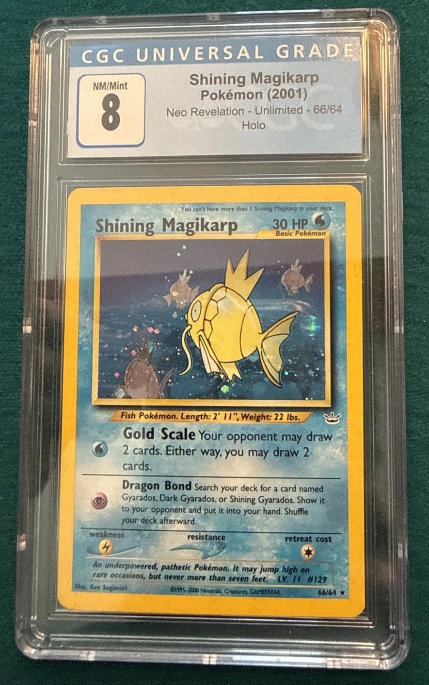 Shining Magikarp 2001 Neo Revelation 66/64 Holo Pokemon Card CGC 8 NM/Mint
