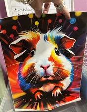 Canvas Print Guinea Pig Art 12 x 16 Vibrant Color Burst Wall Hang Frame Pop Rain