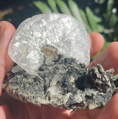 A Triangular Andromedan Glphyed Himalayan Calcite On Glistening Chlorite Matrix