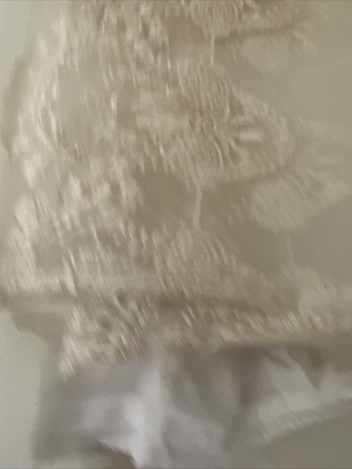 pakistani indian designer salwar kameez - image 7