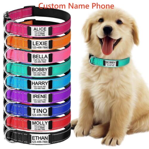 Reflektierendes Nylon Hundehalsband maßgeschneidert personalisiert Haustier Name Ausweis Etikett verstellbar XS-XL - Bild 1 von 16