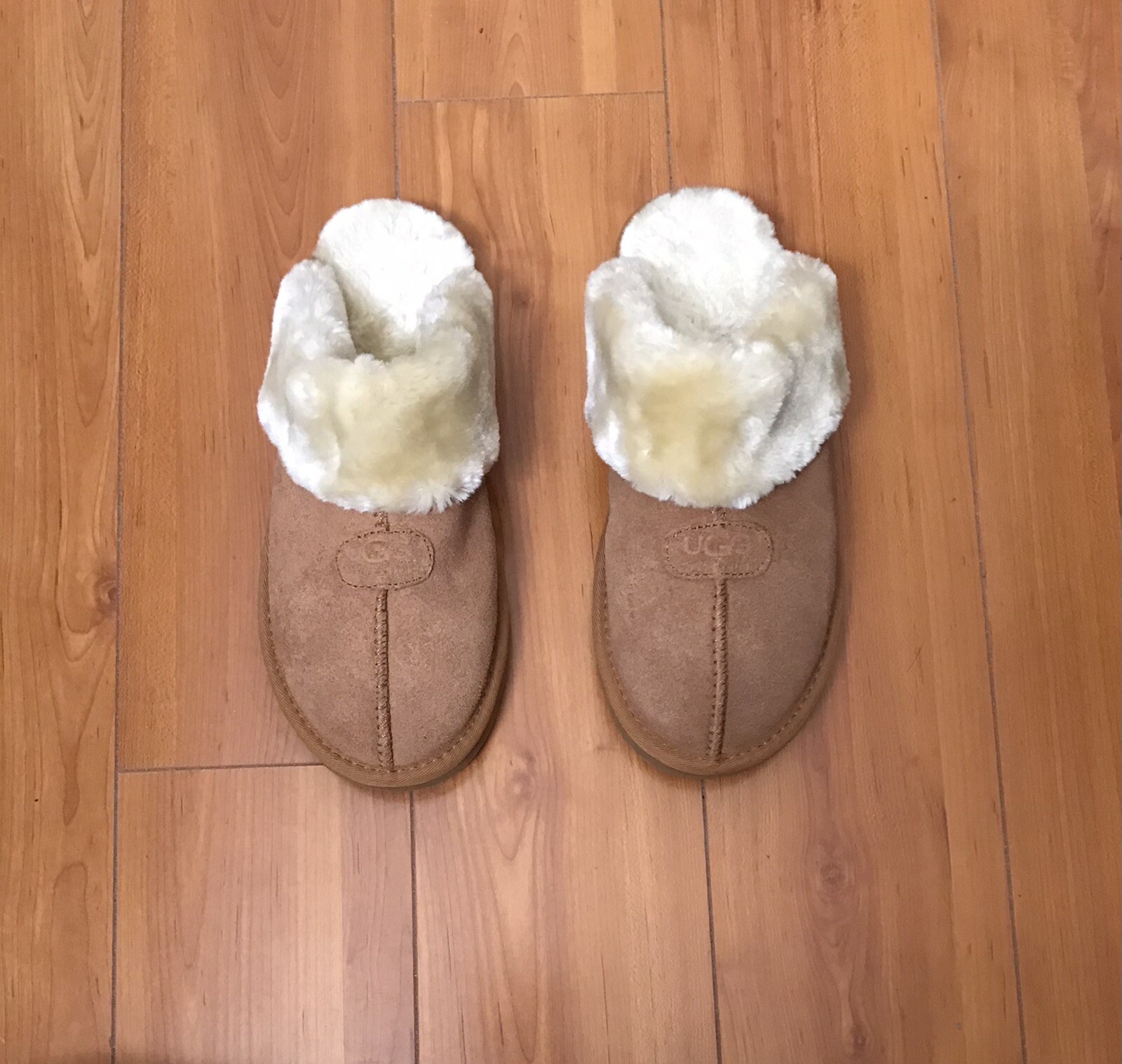 stinky ugg slippers