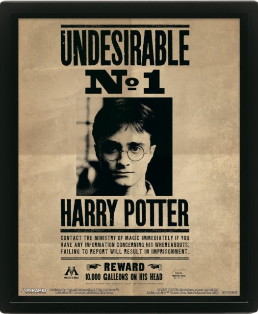 Harry Potter (Harry & Sirius) Framed 10 x 8"" 3D Lenticular Poster (Framed)