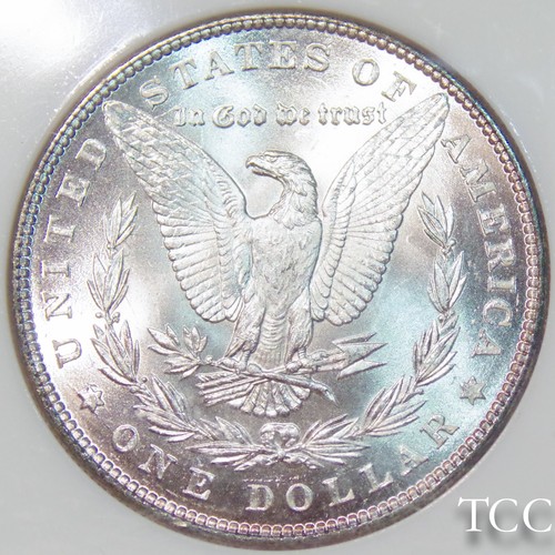 NGC FATTY HOLDER SLAB ~ 1885 MORGAN SILVER DOLLAR MS64 ~ FREE SHIPPING ~ TCC - Picture 3 of 8