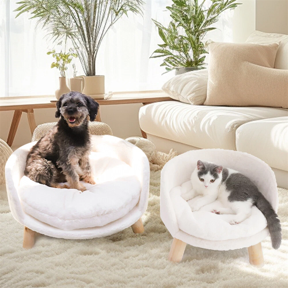 Elevated Pet Bed Dog Cat Stool Sofa With Pad Waterproof Washable Pet Chair Round
Opens in a new wind