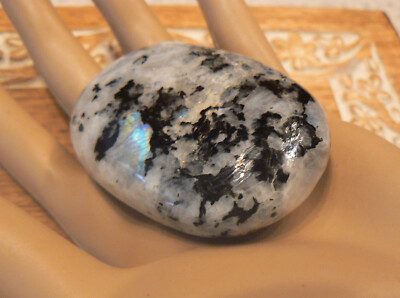 NICE Rainbow Moonstone Crystal LARGE Palm Stone BLUE FLASH 99g 2.5 in. Long