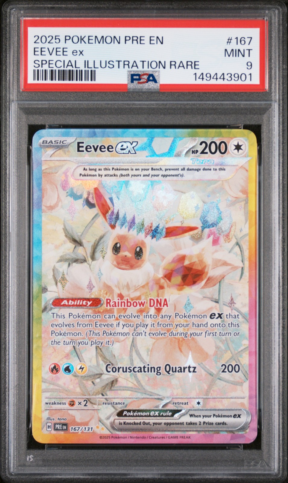 Eevee ex #167