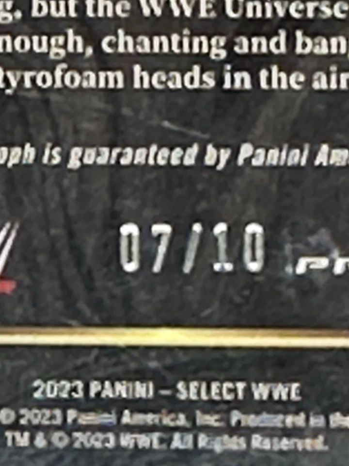 2023 Panini Select WWE AL SNOW SIG SELECTIONS - GOLD /10 AUTO PSA 10 POP 1 - Image 3 of 3