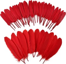 iHUFeather 270pcs Red Goose Feathers for Crafts 2 Styles 4-7 inch Bulk 