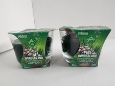 Glade Pine Tree Candles Wonderland Green Christmas Holiday Scents Bundle