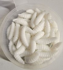 Waxworms