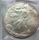 1999 WALKING LIBERTY AMERICAN EAGLE .999 FINE SILVER DOLLAR COIN 1oz. $1 USA