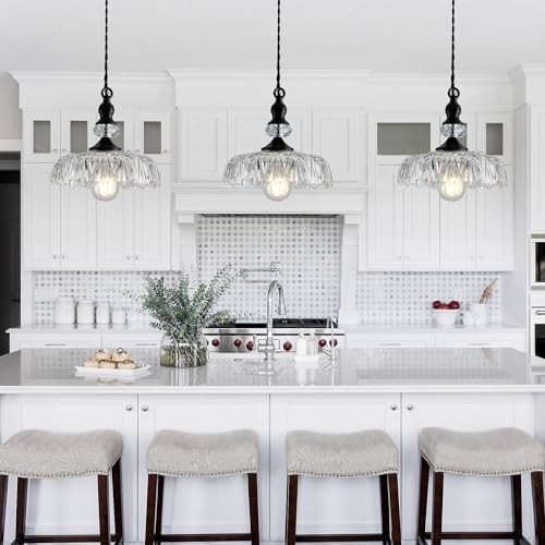 Glass Pendant Light Fixture Black Modern Adjustable Chandelier Hanging ...