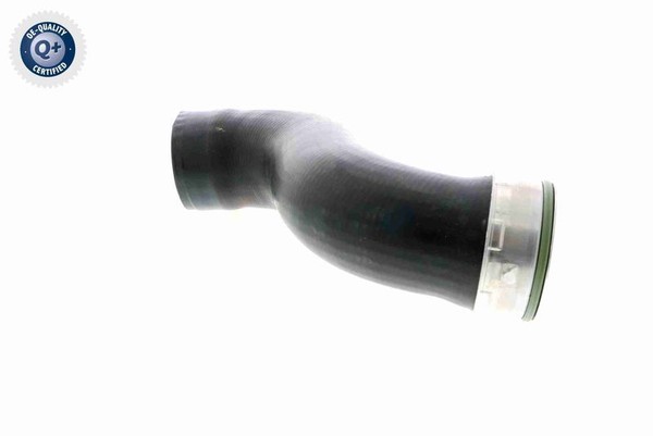 Vaico V22-0818 TüRfeststeller FüR CitroËN-image