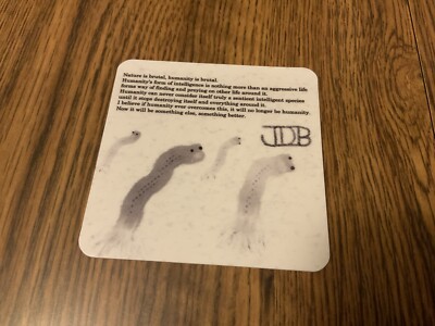 JDB Quote 00￼6 Worn Environmental Illustration 3  Vinyl Sticker Meaning of Life