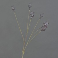 Artplants Kunst Mohnkapseln Asuman, Dunkelbraun, 70Cm