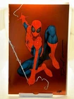 ✍🏼Amazing Spider-Man #51 SDCC Foil Virgin Signed By Nakayama W/COA