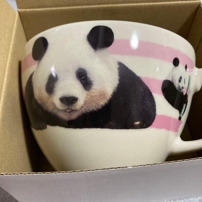 Shanshan Panda Mug Ceramic Display Collectible Used
