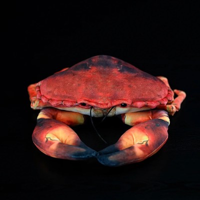 Krebs Kuscheltier 26 cm   Realistisches Plüschtier Meerestier Stofftier