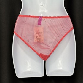 Agent Provocateur L' Agent Lipstick Lace Panty Sz L Bikini Romantic Sexy NWT