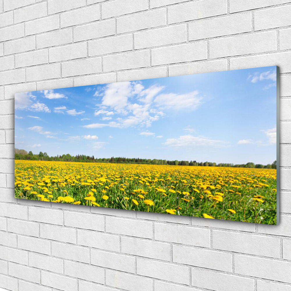Tableau mural Plexiglas 125x50cm avec paysage de pissenlits pour salon