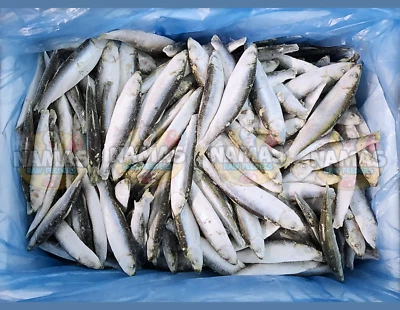 NURTURING BY NATURE Frozen Quality Whole Raw Sprats 3kg5kg10kg Omega3 Raw Dog Cat Food Diet Healthy