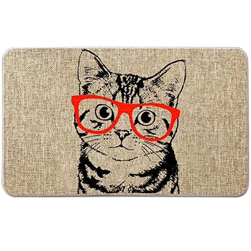 Welcome Mats for Front Door Cat Door Mats Funny Animal Kitty Doormat Home
