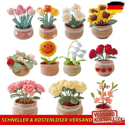 DIY Flower Potted Crochet Kit with Video Tutorial Cute Plants Hand-Knitted Tool