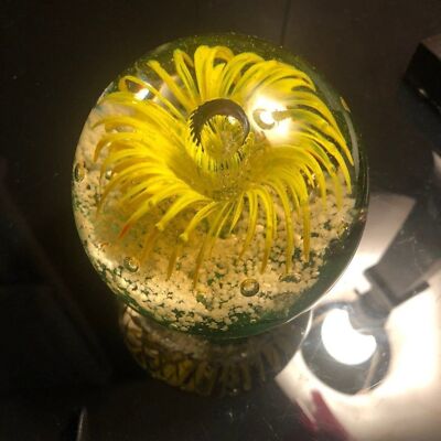 ISP Home Exploding Flower Heavyweight Art Glass Paperweight