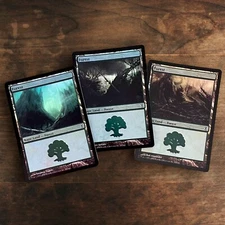 Forest 298 299 & 301 Time Spiral Magic the Gathering MTG Foil Lands LP / HP